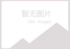 雅安白山化学有限公司